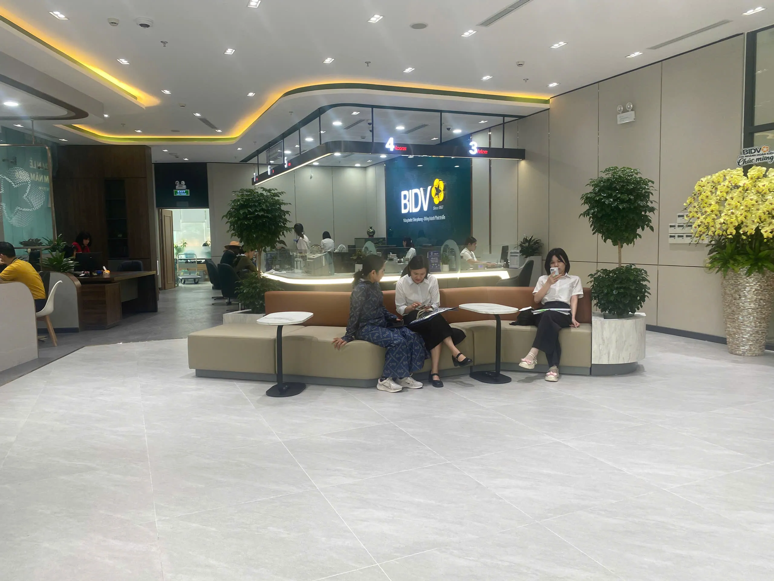 Green Homes thiết kế cây xanh văn phòng cho BIDV Long Biên Hà Nội